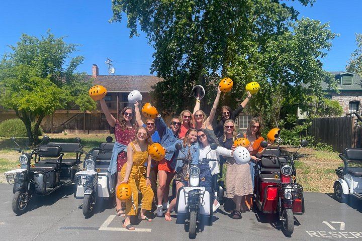 Sonoma Electric Trike Wine Country Tour from Pushpak Motors, 3 Hours (9/9)
