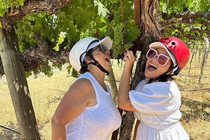 Sonoma Electric Trike Wine Country Tour from Pushpak Motors, 3 Hours (5/9)
