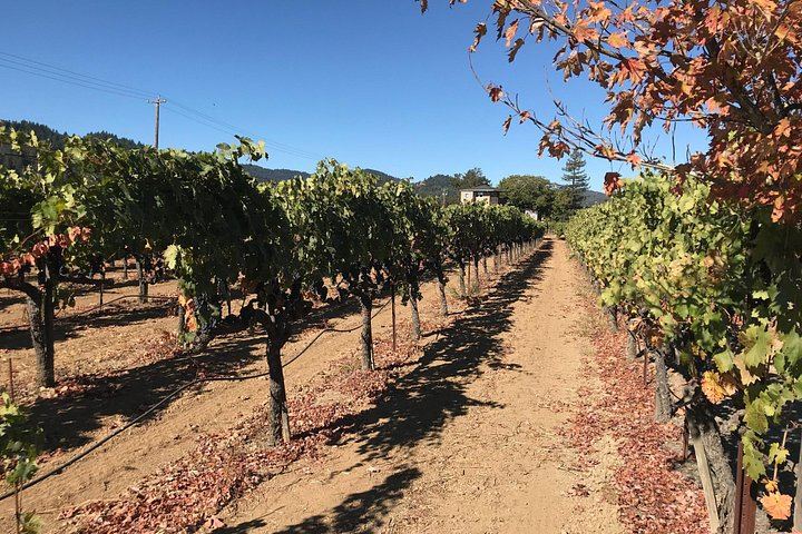 Small-Group Sonoma Wine Tour from San Francisco: Three Boutique Wineries (6/8)