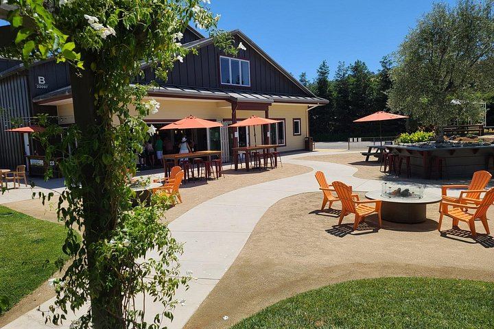 Half-Day Sonoma Wine Tour from San Francisco Hotels with Two Tastings and Sonoma Plaza (7/12)