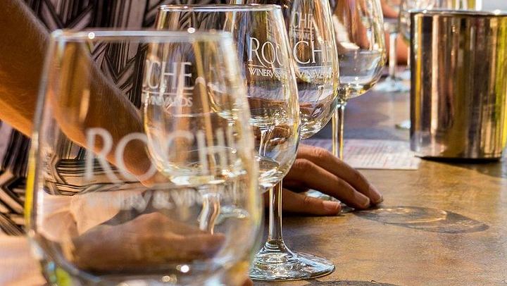Five-Hour Wine Country Coach Tour from San Francisco with Two Winery Tastings (2/7)