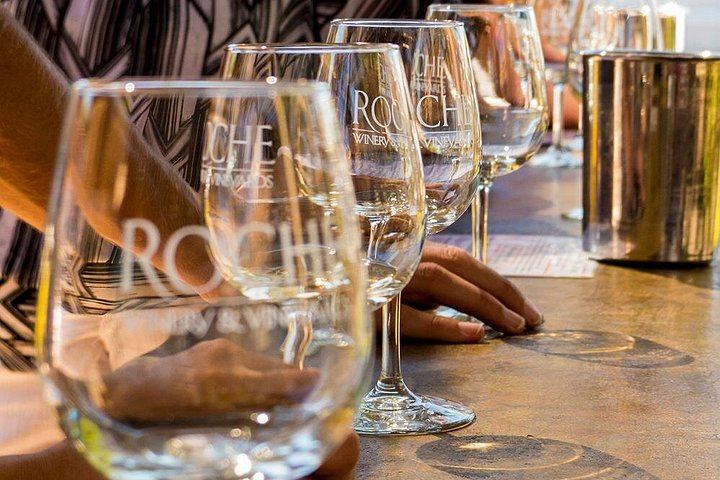 Five-Hour Wine Country Coach Tour from San Francisco with Two Winery Tastings (2/7)