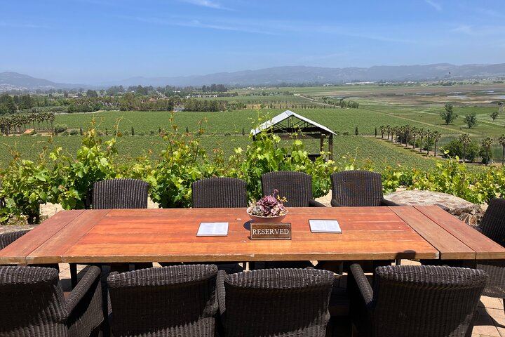 Private Napa or Sonoma Wine Tour in a New Luxury Van for Groups of Up to 8 (10/12)