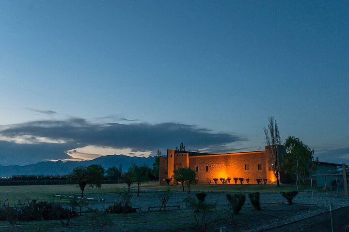 Private Uco Valley Wine Tasting Tour: Salentein, Finca Adelma, Bousquet (8/10)