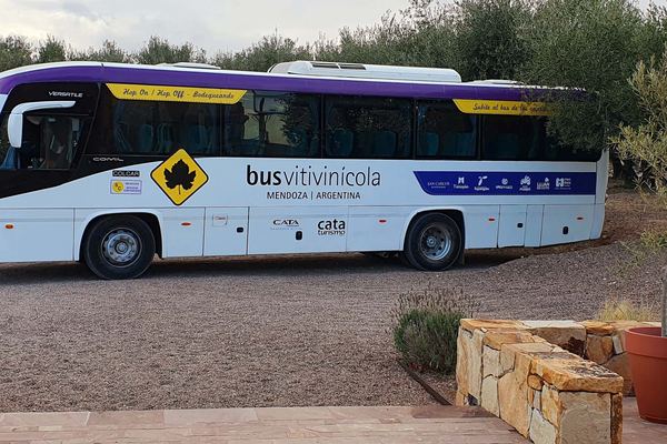 South Luján de Cuyo Hop On-Hop Off Wine Bus: Chandon, Budeguer, Terrazas