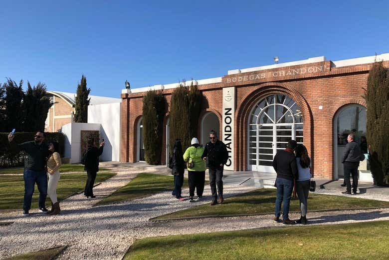 South Luján de Cuyo Hop On-Hop Off Wine Bus: Chandon, Budeguer, Terrazas (9/11)