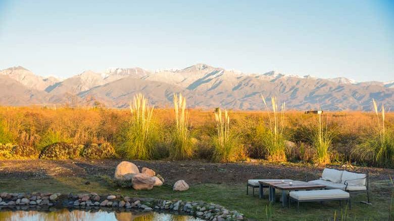 Southern Uco Valley Hop-On Hop-Off Wine Bus: Zuccardi, Cundo and Alfa Crux (3/10)