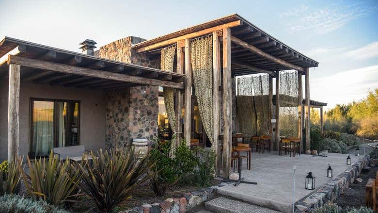 Southern Uco Valley Hop-On Hop-Off Wine Bus: Zuccardi, Cundo and Alfa Crux (1/10)