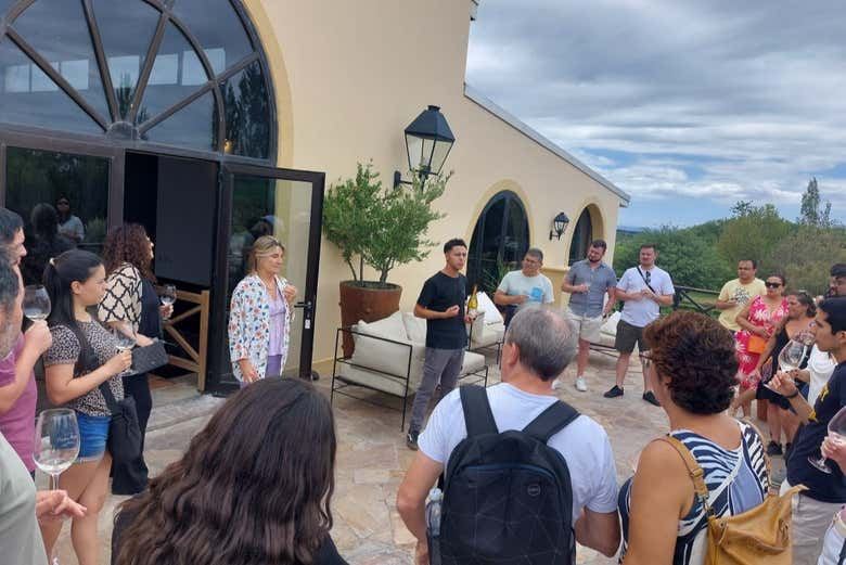 Southern Uco Valley Hop-On Hop-Off Wine Bus: Zuccardi, Cundo and Alfa Crux (10/10)
