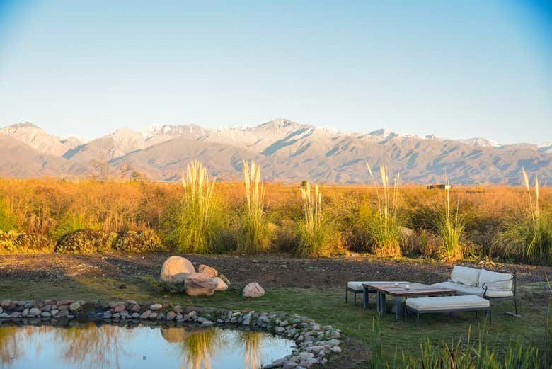 Southern Uco Valley Hop-On Hop-Off Wine Bus: Zuccardi, Cundo and Alfa Crux (3/10)