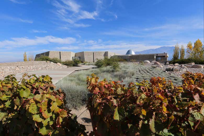 Southern Uco Valley Hop-On Hop-Off Wine Bus: Zuccardi, Cundo and Alfa Crux (5/10)