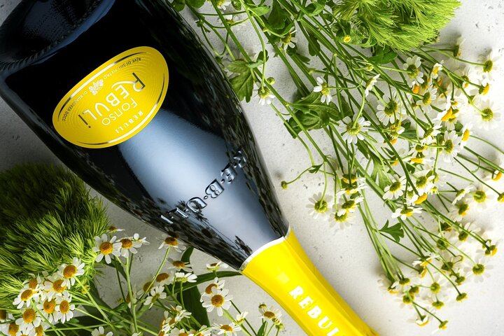 Private Prosecco DOCG Tasting at a Historic Saccol Winery in Valdobbiadene (6/10)