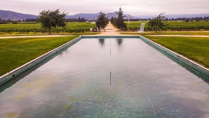 Private Half-Day Sparkling Wine Tour from Santiago: Viñamar Tasting and Blue Wine Market (3/12)