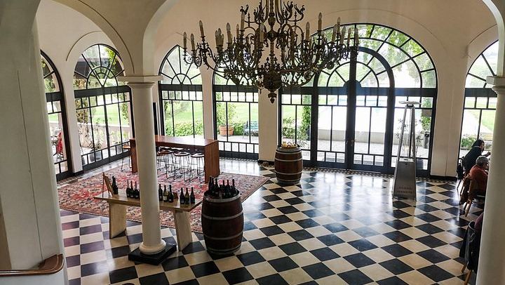 Private Half-Day Sparkling Wine Tour from Santiago: Viñamar Tasting and Blue Wine Market (2/12)