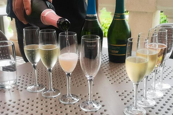 Private Half-Day Sparkling Wine Tour from Santiago: Viñamar Tasting and Blue Wine Market