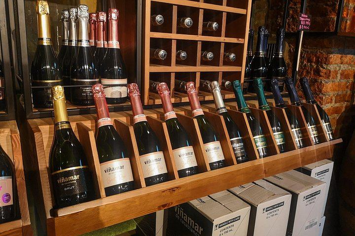 Private Half-Day Sparkling Wine Tour from Santiago: Viñamar Tasting and Blue Wine Market (7/12)