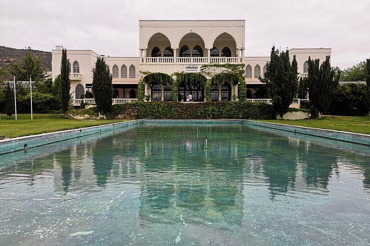 Private Half-Day Sparkling Wine Tour from Santiago: Viñamar Tasting and Blue Wine Market (8/12)