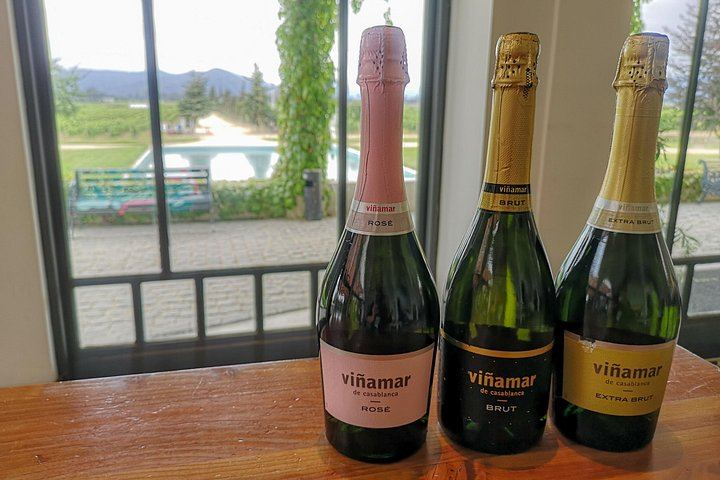 Private Half-Day Sparkling Wine Tour from Santiago: Viñamar Tasting and Blue Wine Market (5/12)