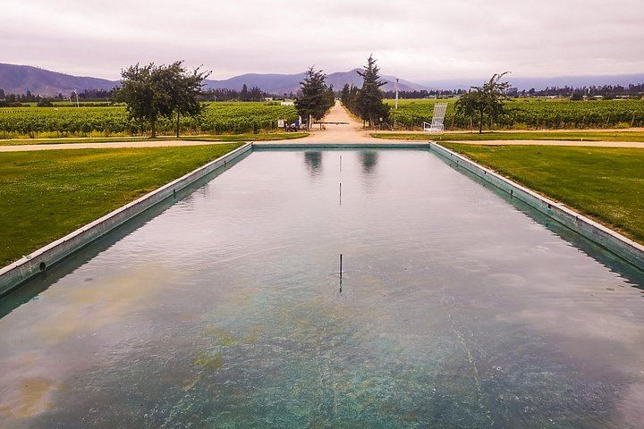 Private Half-Day Sparkling Wine Tour from Santiago: Viñamar Tasting and Blue Wine Market (3/12)