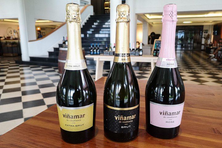 Private Half-Day Sparkling Wine Tour from Santiago: Viñamar Tasting and Blue Wine Market (6/12)