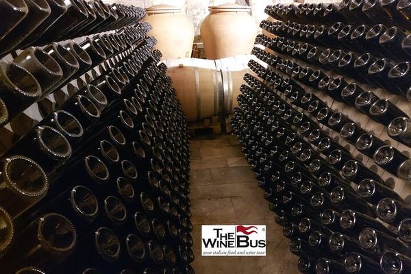 Private Full-Day Irpinia Wine Tour from Sorrento with a Sommelier and Two Wineries