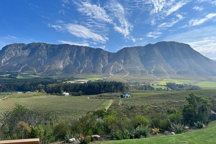 Private Wine Tasting at Tokara, Delaire Graff and Fairview in the Cape Winelands (9/10)