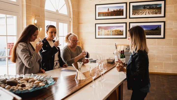 Rustic Vines Day Tour: Saint-Émilion and Médoc Wines, Three Châteaux and Picnic Lunch (2/10)