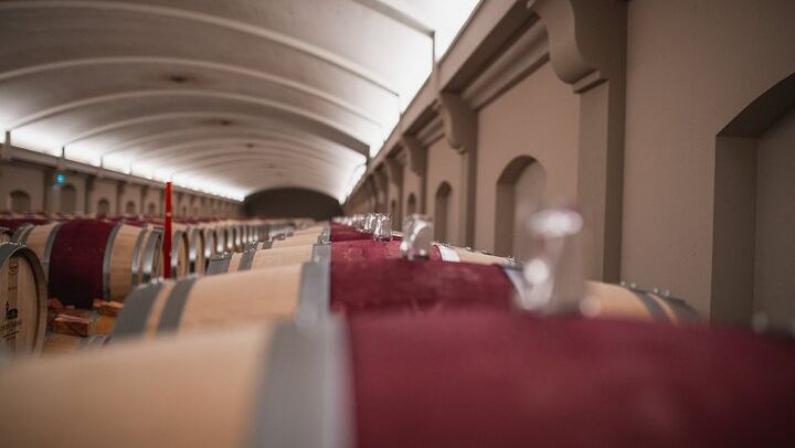 Rustic Vines Day Tour: Saint-Émilion and Médoc Wines, Three Châteaux and Picnic Lunch (4/10)