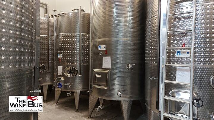 Private Full-Day Irpinia Wine Tour from Sorrento with a Sommelier and Two Wineries (2/12)