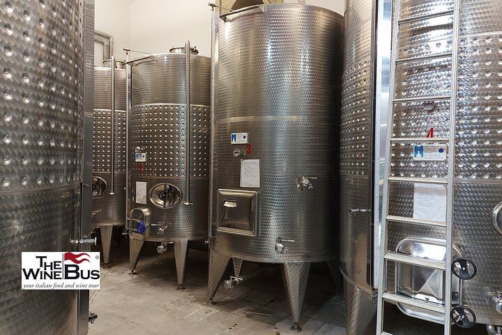 Private Full-Day Irpinia Wine Tour from Sorrento with a Sommelier and Two Wineries (2/12)