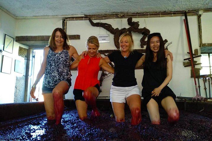 Douro Valley Mercedes Van Day Trip from Porto: Two Family Wineries and Boat Cocktail (12/12)