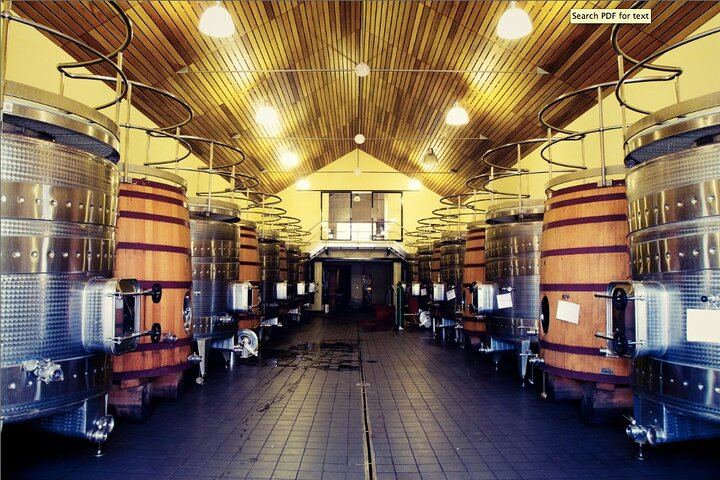 Stellenbosch Half-Day Wine Tour from Cape Town: Two Estates, Cellar Visit and Pairings (8/12)