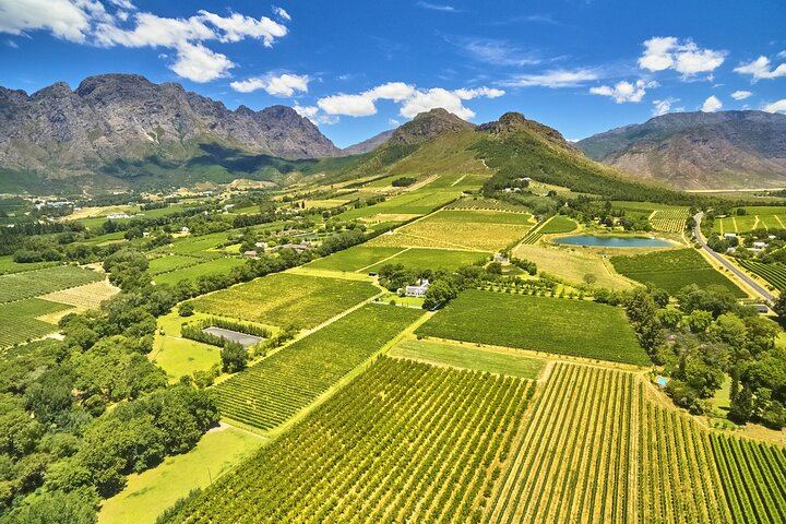 Stellenbosch Balloon Flight, Breakfast and Private Winelands Tastings from Cape Town (8/12)