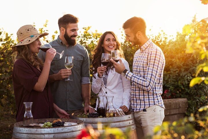 Stellenbosch Balloon Flight, Breakfast and Private Winelands Tastings from Cape Town (11/12)