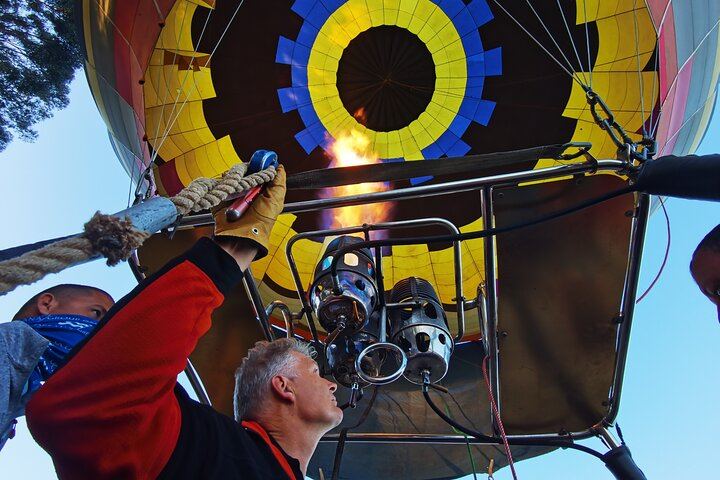 Stellenbosch Balloon Flight, Breakfast and Private Winelands Tastings from Cape Town (3/12)