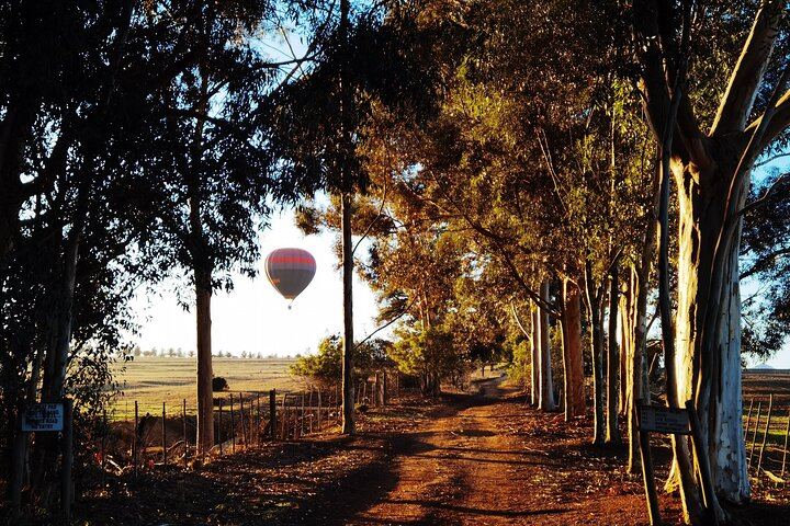 Stellenbosch Balloon Flight, Breakfast and Private Winelands Tastings from Cape Town (9/12)