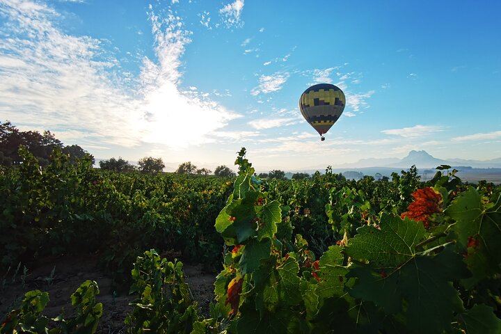 Stellenbosch Balloon Flight, Breakfast and Private Winelands Tastings from Cape Town (12/12)