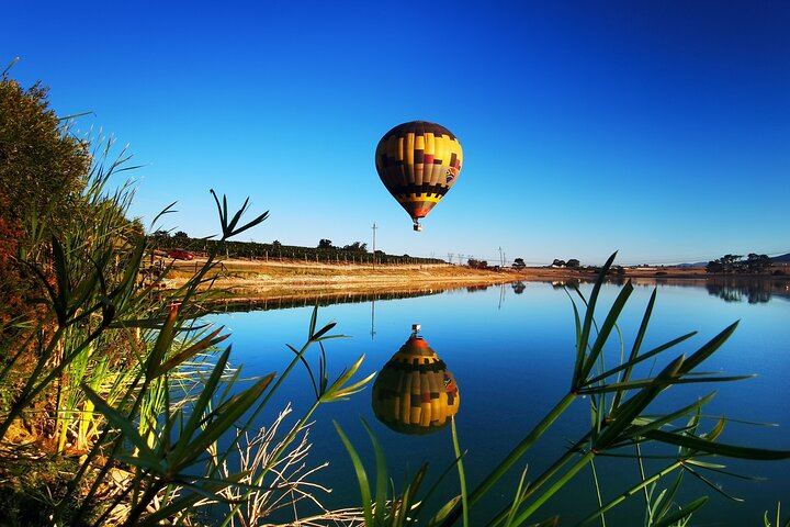 Stellenbosch Balloon Flight, Breakfast and Private Winelands Tastings from Cape Town (7/12)