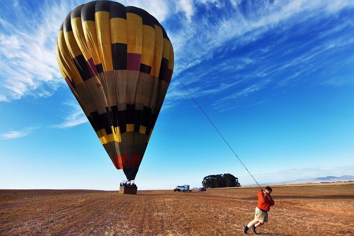 Stellenbosch Balloon Flight, Breakfast and Private Winelands Tastings from Cape Town (4/12)