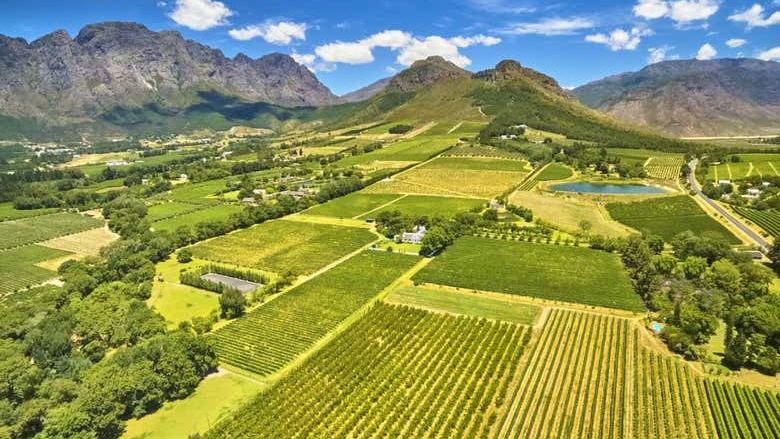 Private Day Trip from Cape Town to Stellenbosch and Franschhoek Vineyards (1/3)