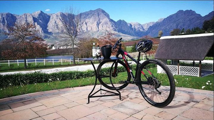 Private Half-Day E-Bike and Wine Tour in Banhoek Valley, Stellenbosch, 15-25 km (4/8)