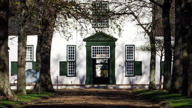 Private Day Trip from Cape Town to Stellenbosch and Franschhoek Vineyards (3/3)