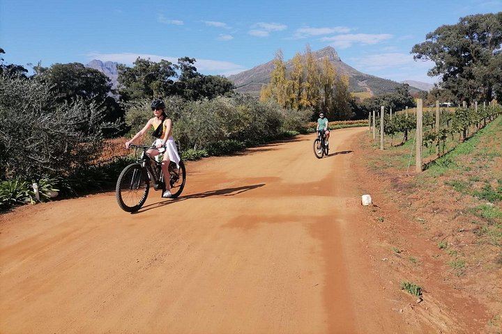 Private Half-Day E-Bike and Wine Tour in Banhoek Valley, Stellenbosch, 15-25 km (8/8)
