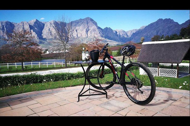 Private Half-Day E-Bike and Wine Tour in Banhoek Valley, Stellenbosch, 15-25 km (4/8)