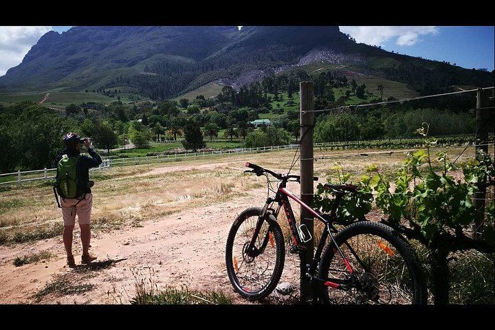 Private Half-Day E-Bike and Wine Tour in Banhoek Valley, Stellenbosch, 15-25 km (5/8)