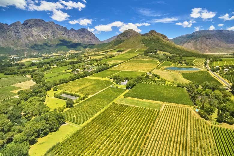 Private Day Trip from Cape Town to Stellenbosch and Franschhoek Vineyards (1/3)