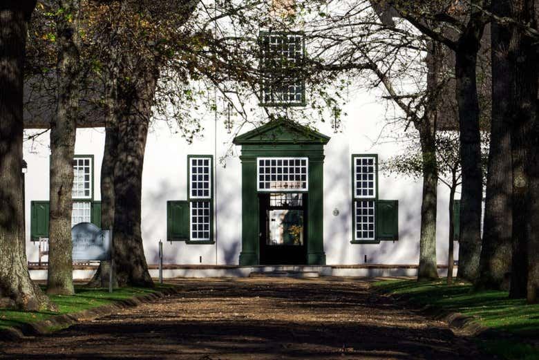 Private Day Trip from Cape Town to Stellenbosch and Franschhoek Vineyards (3/3)