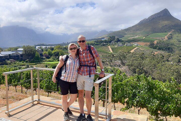 Stellenbosch Guided Vineyard Walk from Zorgvliet to Tokara, Two Tastings and Lunch (5/7)