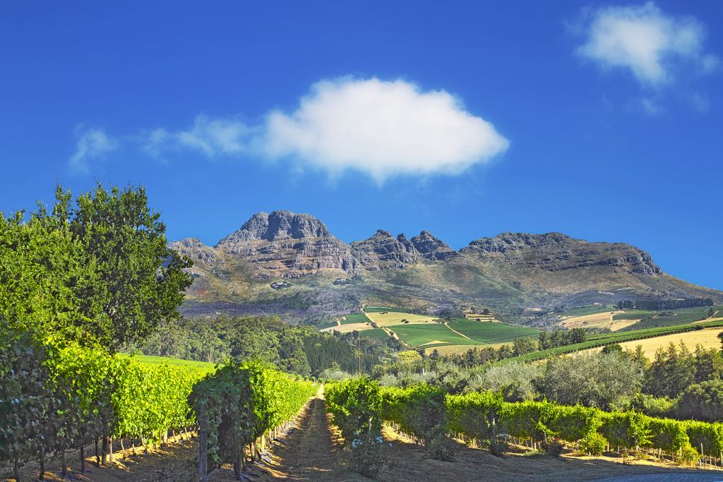 Vine rows and green farmland below rugged peaks in the Stellenbosch wine district, South Africa