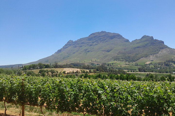Stellenbosch Wine Estates and Franschhoek Wine Tram Day with Zevenwacht and Delaire Graff (12/12)